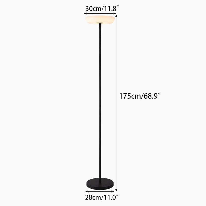 Antizer Outdoor Solar LED Floor Lamp for Garden